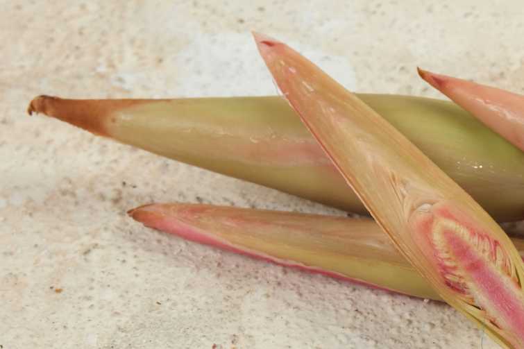 Peran Teknologi Pangan dan Bahan Fungsional Lokal dalam Mendukung Program MBG